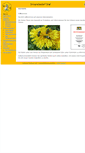 Mobile Screenshot of bienen-graf.de